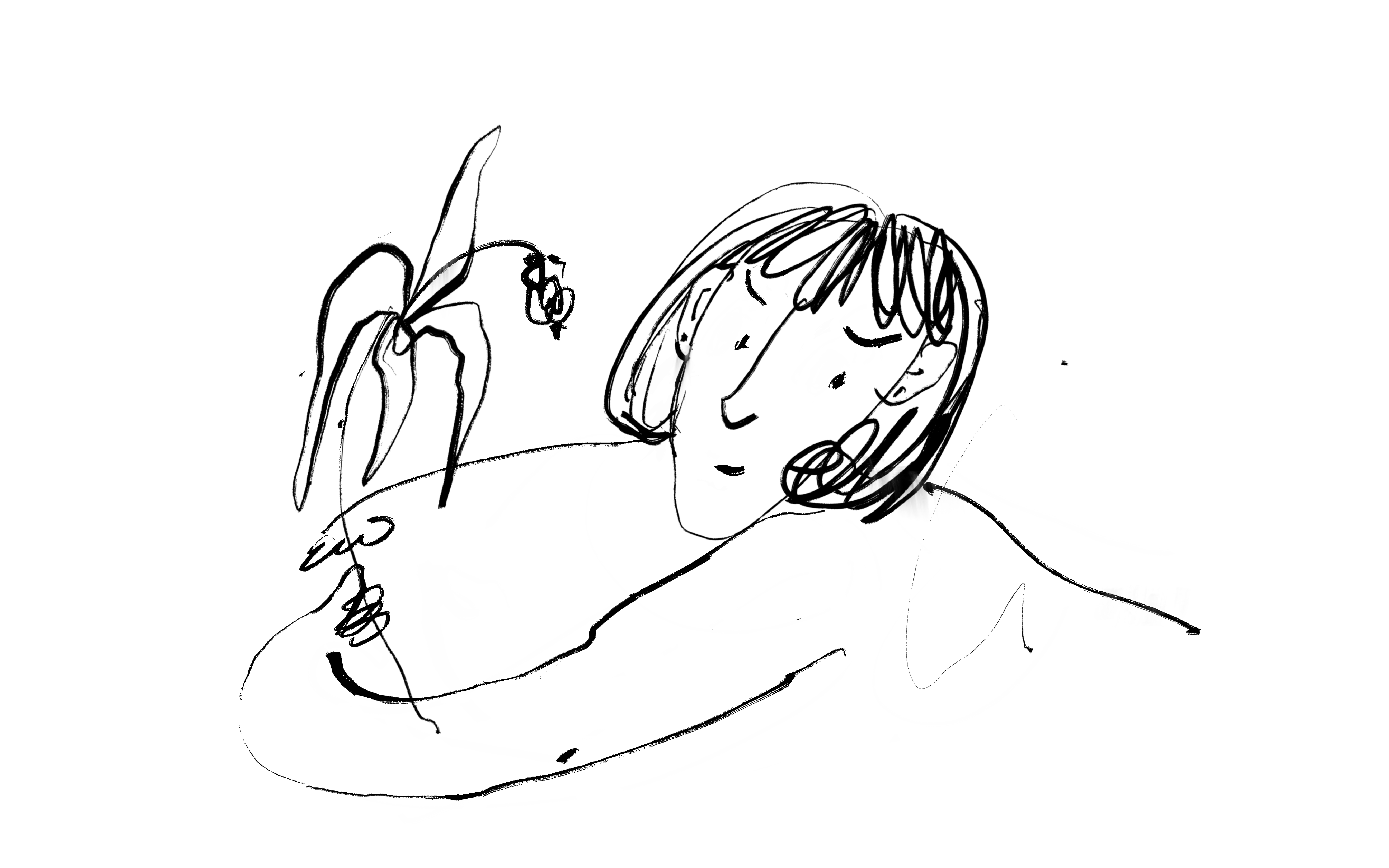 illustration